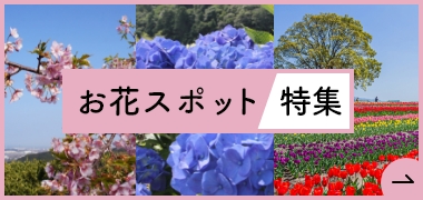お花スポット 特集